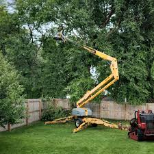 Best Tree Trimming and Pruning  in Hanover, IN